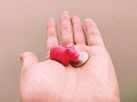 Hand holding a small piggy bank and a coin. Symbol of investment, savings, finance, and financial security. Simple, clean, conceptual. Suitable for wealth mgmt. photo