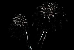 Stunning fireworks display against a deep black night sky. Three vibrant bursts illuminate the darkness, creating a dramatic and festive scene. photo