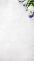 Delicate blue and white irises are arranged on a light white marble background, creating a tranquil and aesthetically pleasing display photo