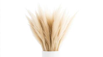 Pampas grass is beautifully arranged in an elegant white ceramic vase, enhancing the minimalist decor of a contemporary space photo
