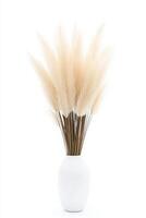 Beautiful pampas grass bouquet in a white ceramic vase enhances the tranquil atmosphere in a stylish living space photo