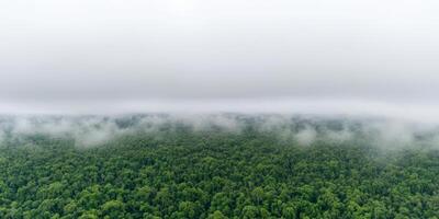 A breathtaking aerial perspective reveals verdant forests of Thailand, enveloped by soft, rolling fog and clouds at dawn photo