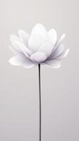 A unique white flower exhibits intricate petals and a graceful stem, creating an elegant display on a neutral backdrop photo