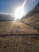 Nature is charming along a long path at sunset. In a closer view of the ground, the sky glows as the sun illuminates the path with warm golden light, creating an intimate perspective of the floor. photo