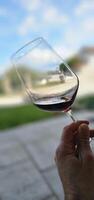 glass of red wine drunk in a cellar in the Piedmontese Langhe during a food and wine photo