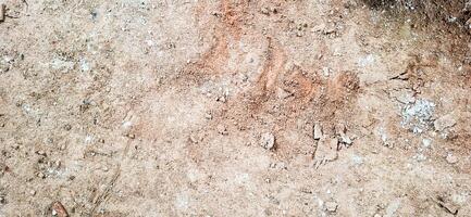 The floor texture of a collapsing building. Sand, cement, garbage.10 photo