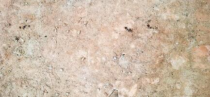The floor texture of a collapsing building. Sand, cement, garbage.6 photo
