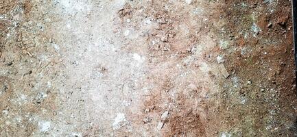 The floor texture of a collapsing building. Sand, cement, garbage.4 photo