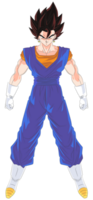 High quality image of Vegetto, the fused warrior png