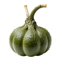 Dark Green Round Gourd with Lumpy Texture on Black Background png