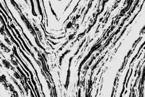 black and white abstract background with a pattern vector