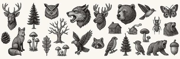 Detailed monochrome illustrations of forest animals and elements create a wild nature pattern vector