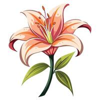 White Background Cartoon Lily Flower Clipart vector