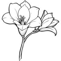 Timeless Freesia Flower Design Themes vector