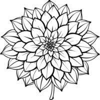 Amazing Dahlia Flower Design Collection vector