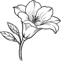 Beautiful Freesia Flower Design for Print vector