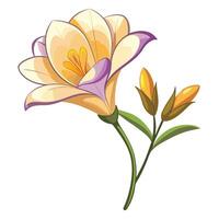 Fresh Take on Freesia Flower Design vector