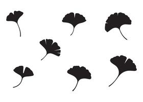 Ginkgo Biloba Leaves Pattern on White Background vector