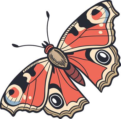 Butterfly with Symmetrical Wings Colored Design