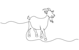 Continuous line drawing of sheep art style. Modern single line art. Farm animal continuous one line illustration. sheep, lamb vector