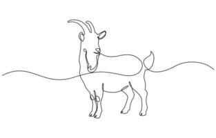 Continuous line drawing of sheep art style. Modern single line art. Farm animal continuous one line illustration sheep. vector
