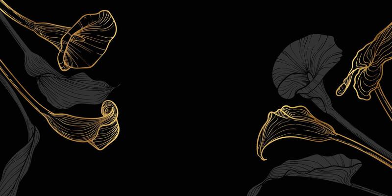 Luxurious calla flower background with calla lily flowers and leaves. Hand drawn gold calla frame and border. design of card, banner, invitation, advertising and packaging