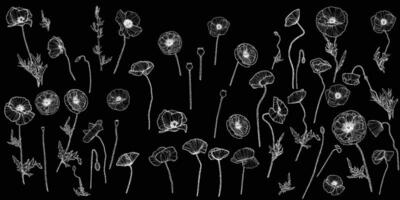 Set of highly detailed poppies. Trendy botanical elements. Hand drawn line leaves, stems and blooming. Wedding elegant poppies for invitation, save the date, card. White line art hand drawn. vector