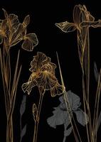A3 iris line art hand drawn illustration. Art print with line art gold iris flower with gray tones. Highly detailed and high quality graphic asset for online and print. vector
