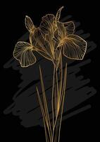 A4 iris line art hand drawn illustration. Art print with gold iris flower and a black sketch mark. Highly detailed and high quality graphic asset for online and print. vector