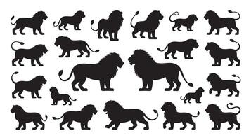 Collection of black silhouettes of lions in various poses suitable for design projects and wildlife themes vector