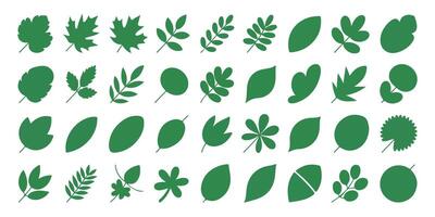 Diverse collection of green leaf silhouettes featuring various botanical forms and designs vector