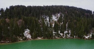 Hill, densely overgrown with fir trees and covered with snow, located on the banks of the river. filming from a bird's eye view, from a drone , from the side of the river. photo