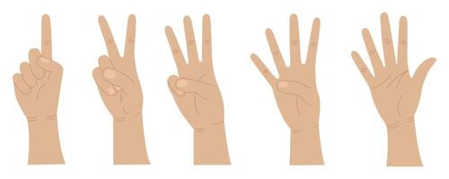 Hands count from one to five. Gestures of hands. Counting fingers. illustration vector