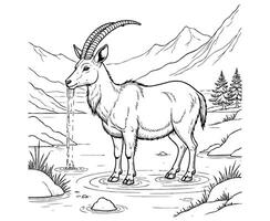 goat with mountain in river coloring page vector