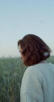 A woman with a short haircut walks through the field among tall ears of wheat with a thoughtful look sorting through the ears. 4k, vertical , red komodo photo