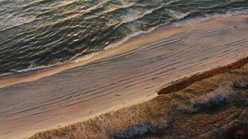 View of the sandy beach washed by the foamy waves. from a drone moving away from the shore. Sunlight is reflected in the sea water. photo