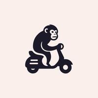 monkey riding a scooter on a white background vector
