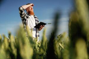 On the work, with digital tablet. Man ,in ,white ,shirt is on the agricultural field photo