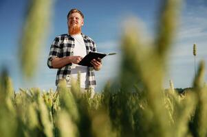 Process of quality control, with digital tablet. .,Man in white shirt is on the agricultural field photo