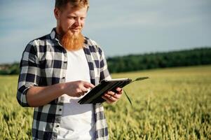 Process ,of ,quality ,control, with, digital tablet. Man in white shirt is on the agricultural field photo