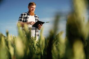 On ,the, work, with digital, tablet. Man in white shirt is on the agricultural field photo