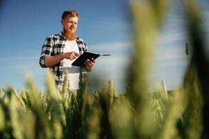 On the work,,,, with digital tablet. Man in white shirt is on the agricultural field photo