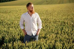 Looking far away. Man in white shirt, is,, on the agricultural field photo