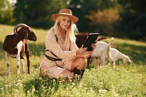 Quality control, ,with digital tablet.. Young woman is on the field, farm, with the goats photo