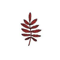 Hand drawn doodle sketch rowan leaf isolated on white vector