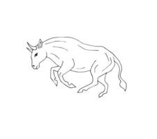 Hand drawn doodle sketch running bull isolated on background vector