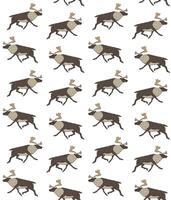 Seamless pattern of hand drawn doodle sketch reindeer isolated on background vector