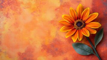 Top view Blanket Flower on a vibrant background, flower setting photo