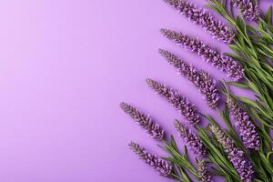 Blazing Star on a vibrant background, top view photorealistic flower photo