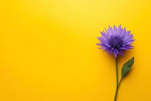 Blazing Star on a vibrant background, photorealistic top view Blazing Star flower photo
